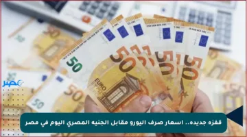 قفزة جديدة.. أسعار صرف اليورو مقابل الجنيه المصري اليوم في مصر